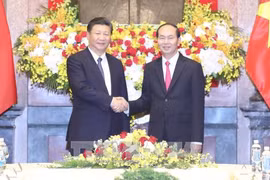 越南国家主席陈大光与中共中央总书记、国家主席习近平举行会谈
