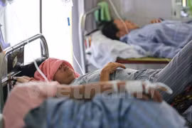 住院接受治疗的登革热病人。