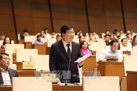 越南政府副总理郑廷勇在会议上发表讲话。（图片来源：越通社）