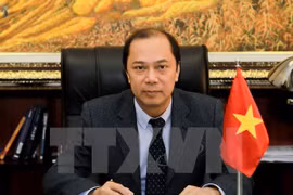 越南参与关于可持续发展的东盟-欧盟对话