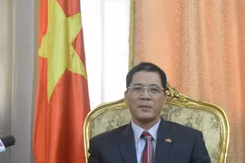 越南驻埃及大使杜黄龙（图片来源于网络）
