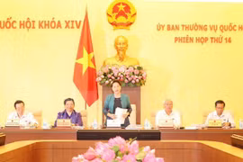国会主席阮氏金银在会议上发表讲话。
