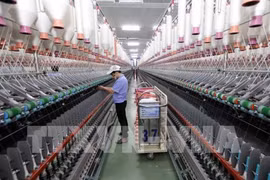 附图。（图片来源：越通社）