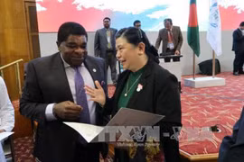 附图：越南国会常务副主席丛氏放和国际代表。（图片来源：越通社）