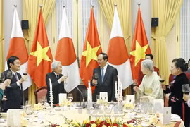 国家主席陈大光与夫人主持国宴 欢迎日本天皇明仁和皇后访越 （图片来源：越通社）