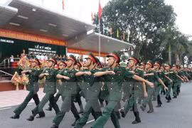 附图。（图片来源：越通社）