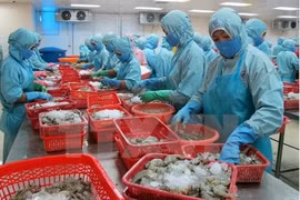 截至11月中金瓯省水产品出口额达近9亿美元