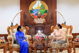 老挝国会主席巴妮·雅陶都（右）会见胡志明市市委副书记武氏容（左）（图片来源：越通社）