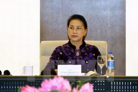 越南国会主席阮氏金银