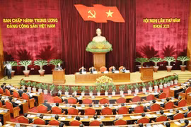 会议全景。