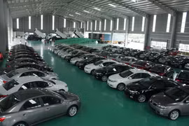 附图（图片来源于网络）