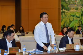 ​越南财政部部长丁进勇在会议上发表讲话。（图片来源：http://www.baogiaothong.vn）