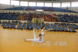 越南芹苴市友好组织联合会同印度驻胡志明市总领事馆联合举行2017年第三次国际瑜伽日。​（图片来源：越通社）