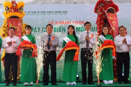 广南省MDF木材加工厂一期项目落成典礼。（图片来源：因特网） 