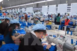 努力提高越南企业全球供应链参与能力