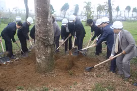 河内市领导人参加“世代铭记胡伯伯之恩”植树节