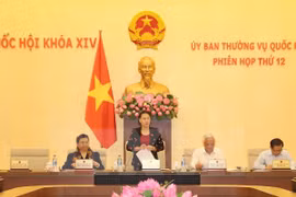 越南国会主席阮氏金银在会议上致辞。（越通社—VNA）