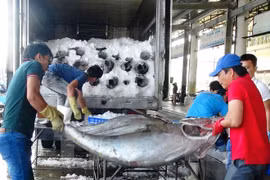附图