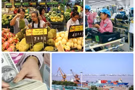 附图（图片来源：越通社）