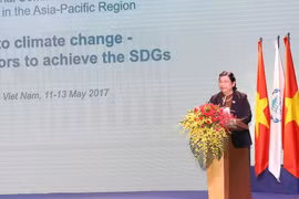 越南国会常务副主席丛氏放在会上发表讲话。（图片来源：越通社）