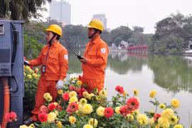 附图（图片来源于网络）