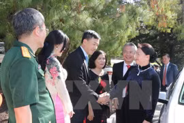 阮氏金银会见越南驻澳大使馆工作人员与旅澳越南人代表