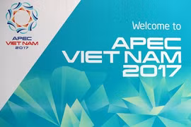 APEC第25次领导人会议今日在岘港市召开