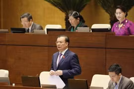 财政部部长丁进勇答复质询。（图片来源：越通社）