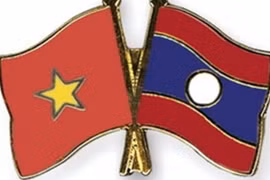 附图。（图片来源于网络）