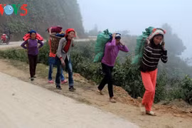 ​附图（图片来源：越南之声）
