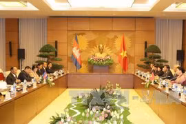 越南国会主席阮氏金银与柬埔寨国会主席韩桑林举行会谈。（图片来源：越通社）