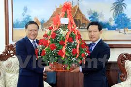 越南驻老大使向老挝外交部长转交越南领导人赠送老挝领导人的花篮。