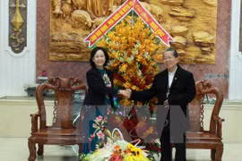张氏梅走访慰问太平省教区