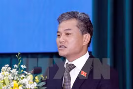越南友好组织联合会秘书长兼副主席敦俊锋。（图片来源：越通社）