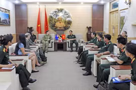 越南与美国和澳大利亚加强联合国维和领域合作