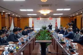 越南与土耳其力争实现2020年双边贸易额达40亿美元的目标