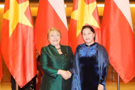 越南国会主席阮氏金银会见智利总统米歇尔·巴切莱特·赫里亚