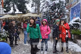 2017年沙巴冬日节：探索沙巴雪花