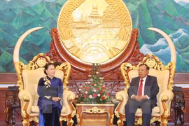 越南国会主席阮氏金银会见老挝人民革命党中央总书记、国家主席本扬·沃拉吉