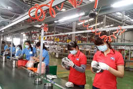 附图。（图片来源：越通社）