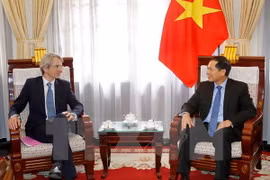 越南外交部副部长裴青山（右）会见法国外交与国际发展步亚澳司司长埃马纽埃尔·莱奈恩（左）。（图片来源：越通社）