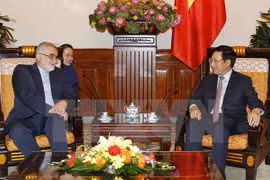 越南政府副总理兼外长范平明（右）会见伊朗议会议会国家安全和外交政策委员会主席、越伊友好议员小组主席布鲁杰迪（左）。