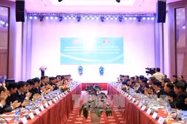 会议全景（图片来源：越通社）