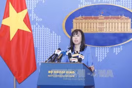 越南外交部发言人：未收到英国伦敦公寓楼火灾越南人伤亡的报告