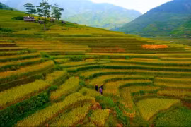 越南风景。