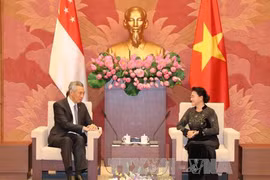 越南国会主席阮氏金银（右）会见新加坡总理李显龙（左）（图片来源：越通社）