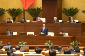 越南财长丁进勇：关注把贷款资金用于重点项目