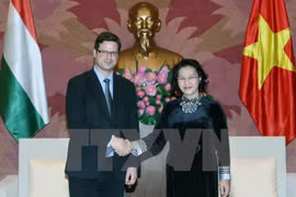 越南国会主席阮氏金银会见匈牙利议会副议长、匈牙利公民联盟党副主席古亚士•盖尔盖伊