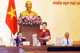 国会主席阮氏金银在国会常委会第十三次会议闭幕会上发言。