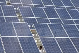 附图。（图片来源：越通社）
